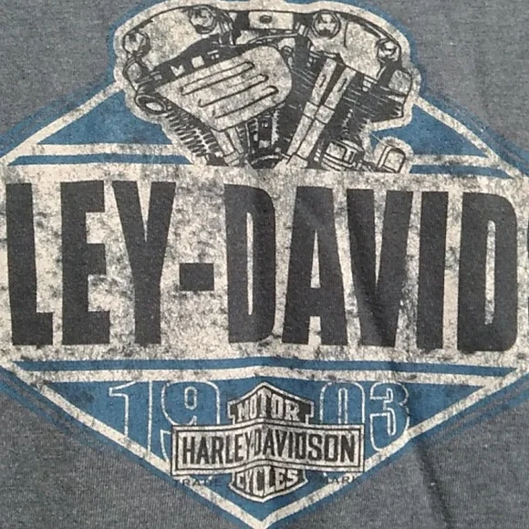 SALE! Harley Davidson Motorcycle Rocky Top Pigeon ForgeTN Long Sleeve Tee (BX51) - Picture 3 of 16